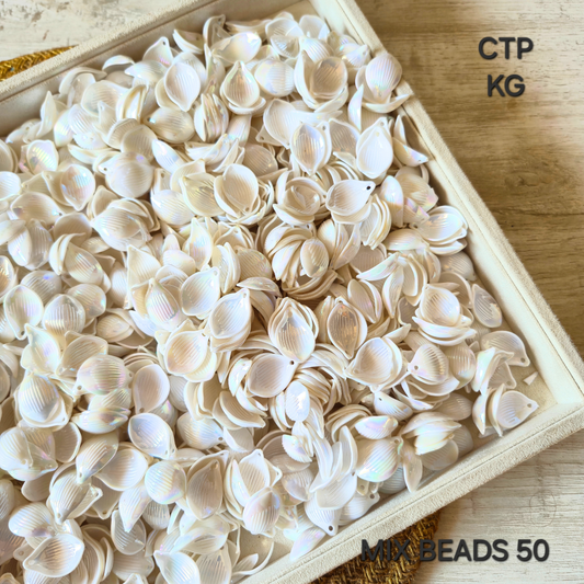 100 Grams Multi Color Beads For DIY Hair Accessories, Jewellery, Crafts Making (050)